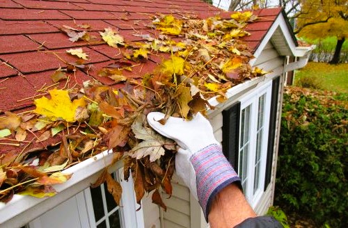 Removing leaves from the roof