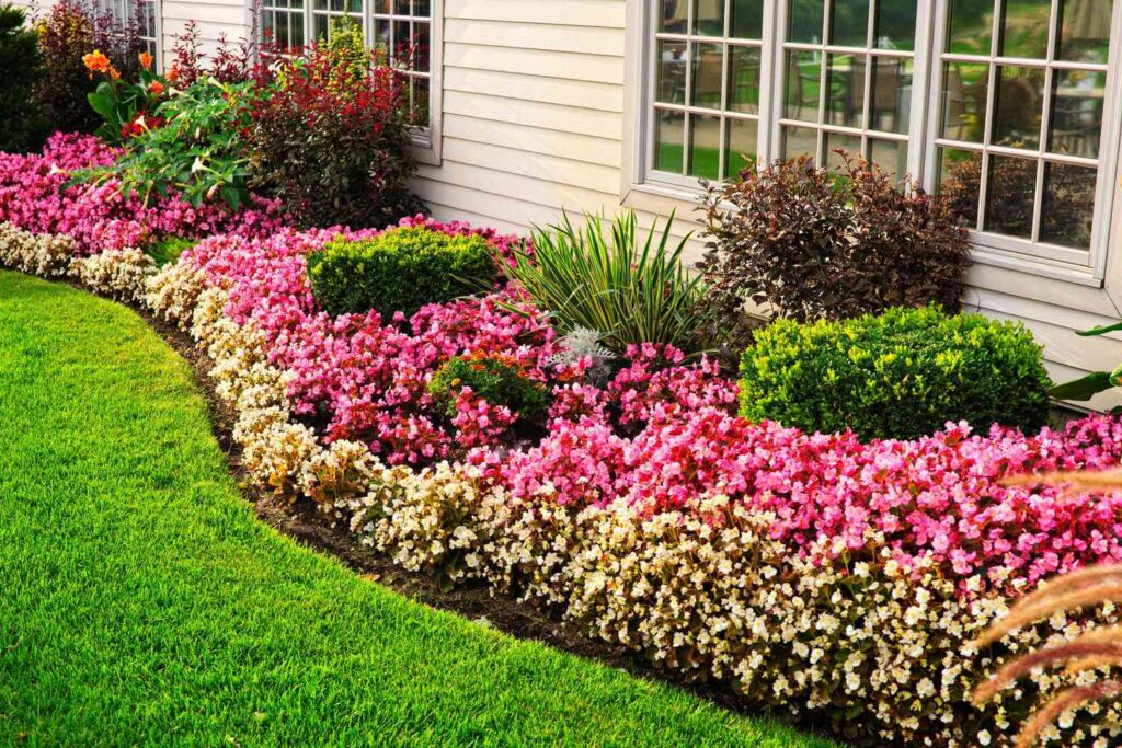 Lawn Edging Borders